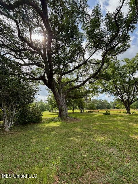 Property Photo: 15521 Old River Road MS 39565