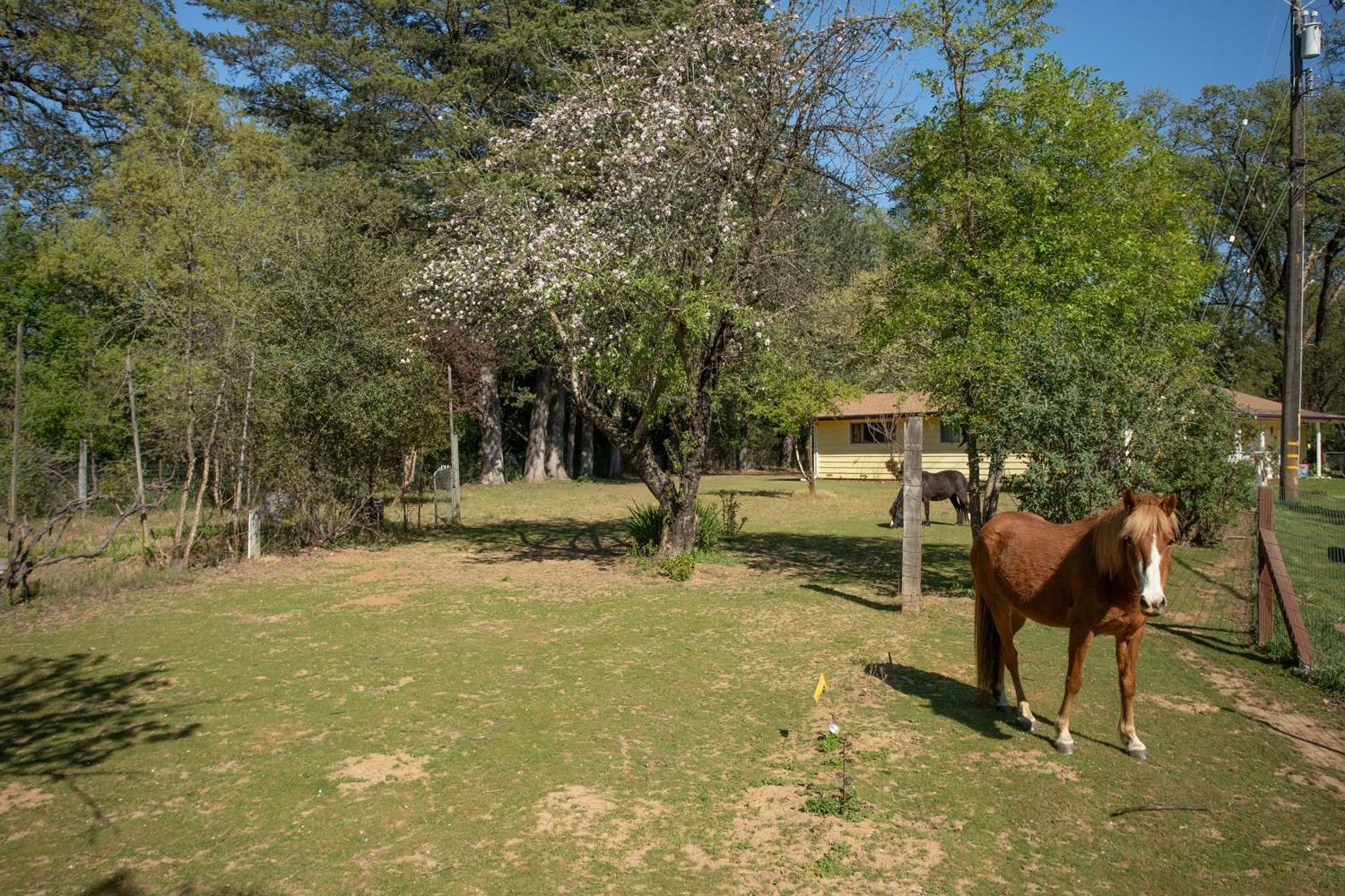 Property Photo: 17098 Clover Road CA 95946
