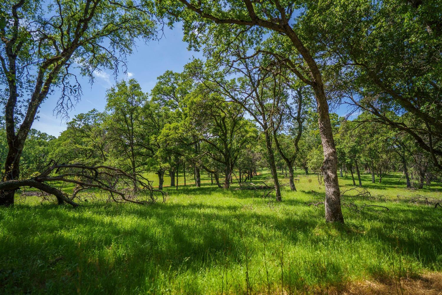 Property Photo: 5885 Johnson Drive CA 95648