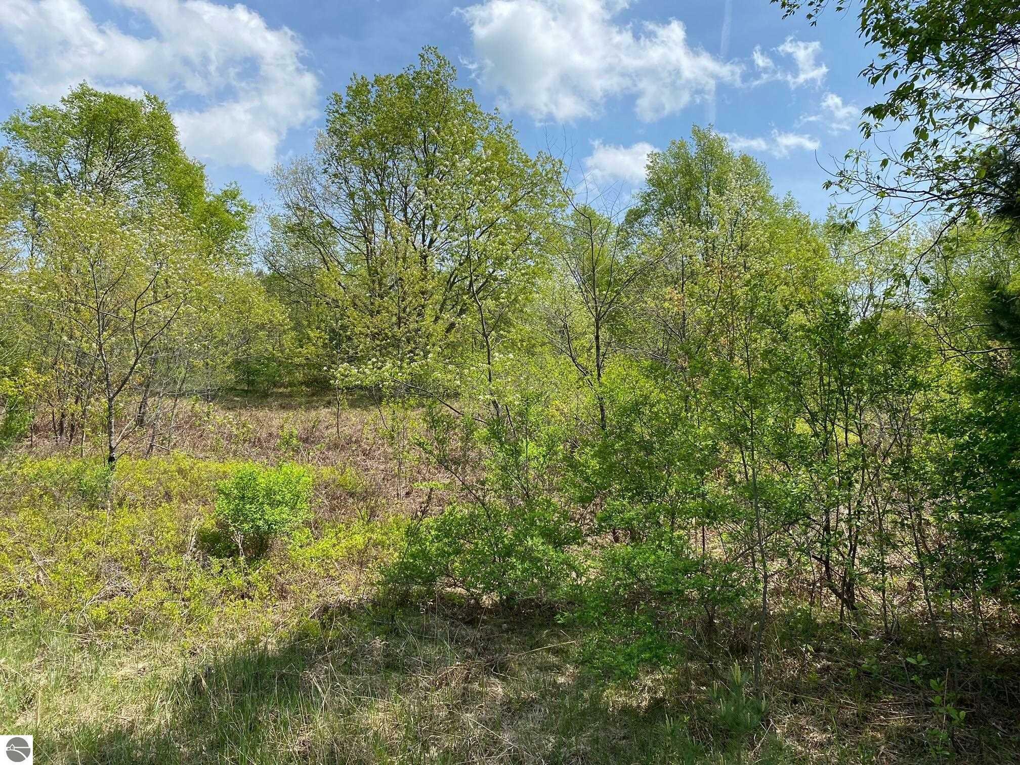Property Photo: Crestview Drive MI 49601