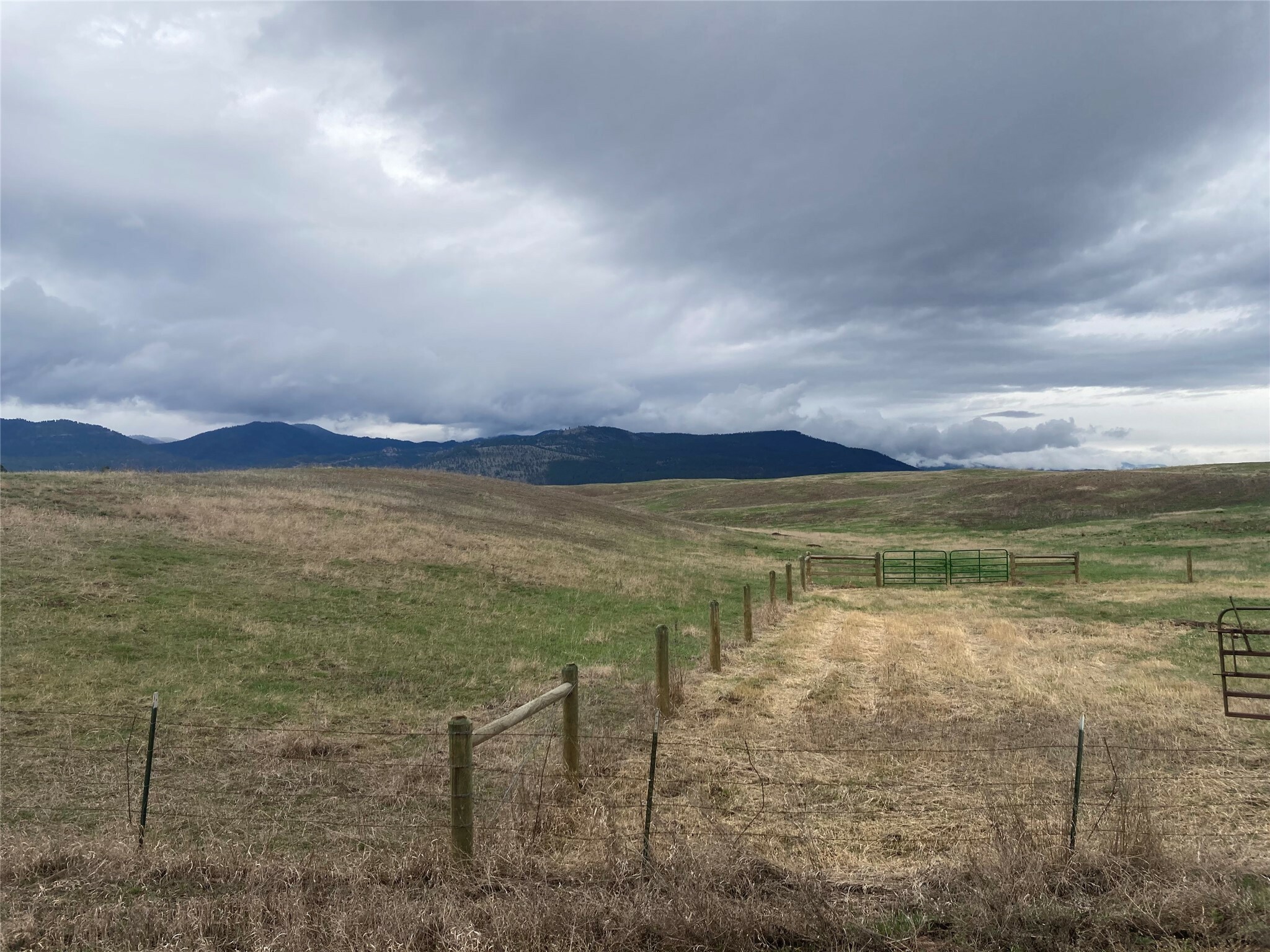 12564 Loiselle Lane  Missoula MT 59808 photo