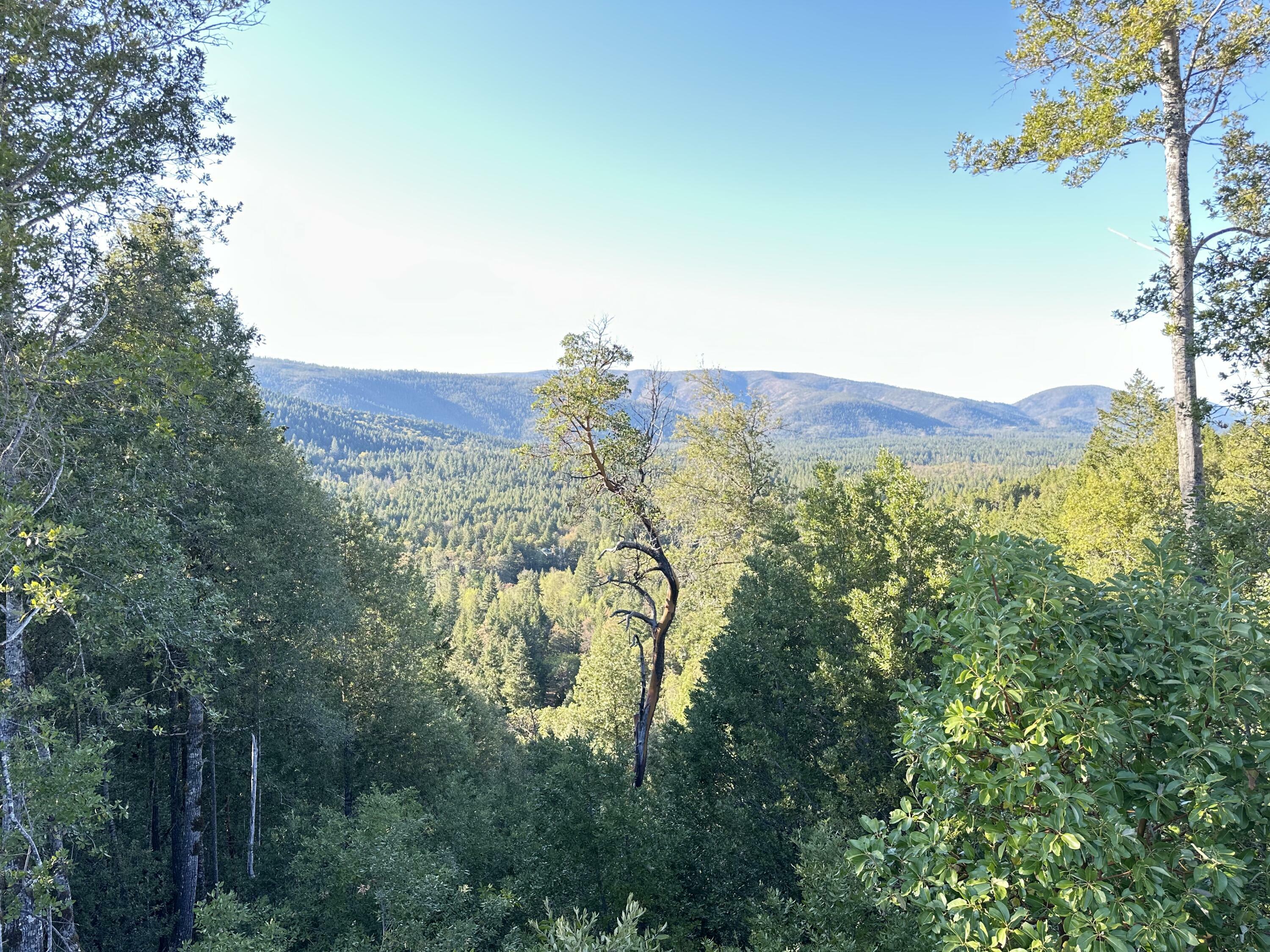 Property Photo: Redwood Highway 1101 OR 97534