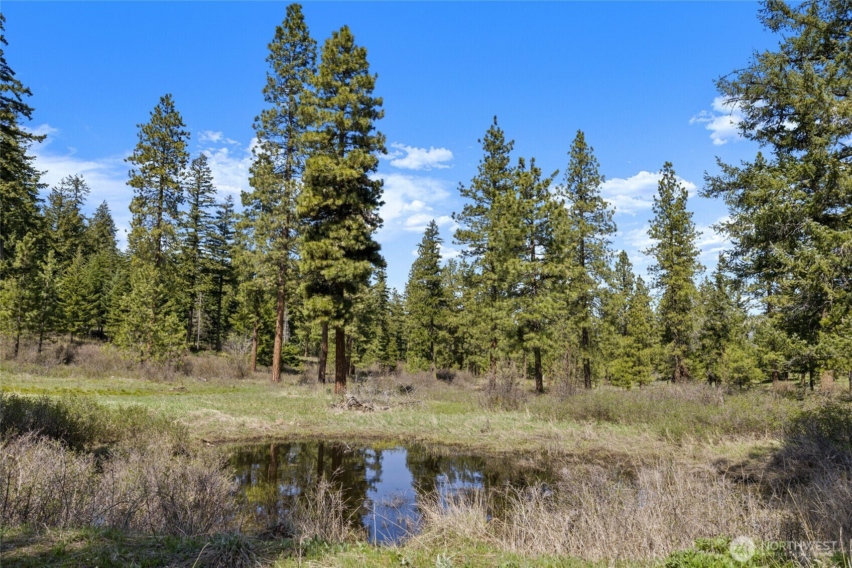 Property Photo: 401 Hazelnut Lane WA 98922