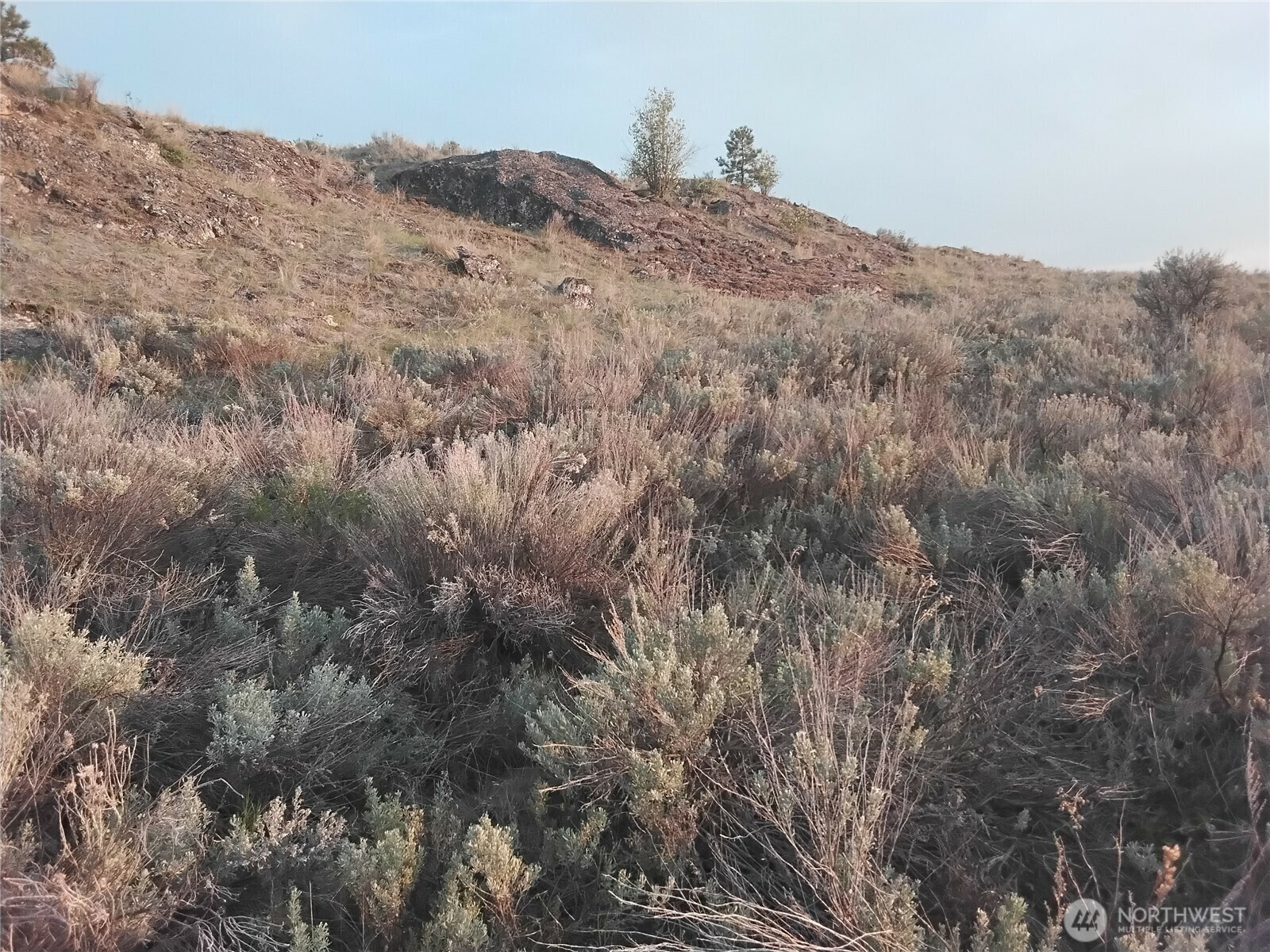 Property Photo: 0 Paradise Point Road WA 98855
