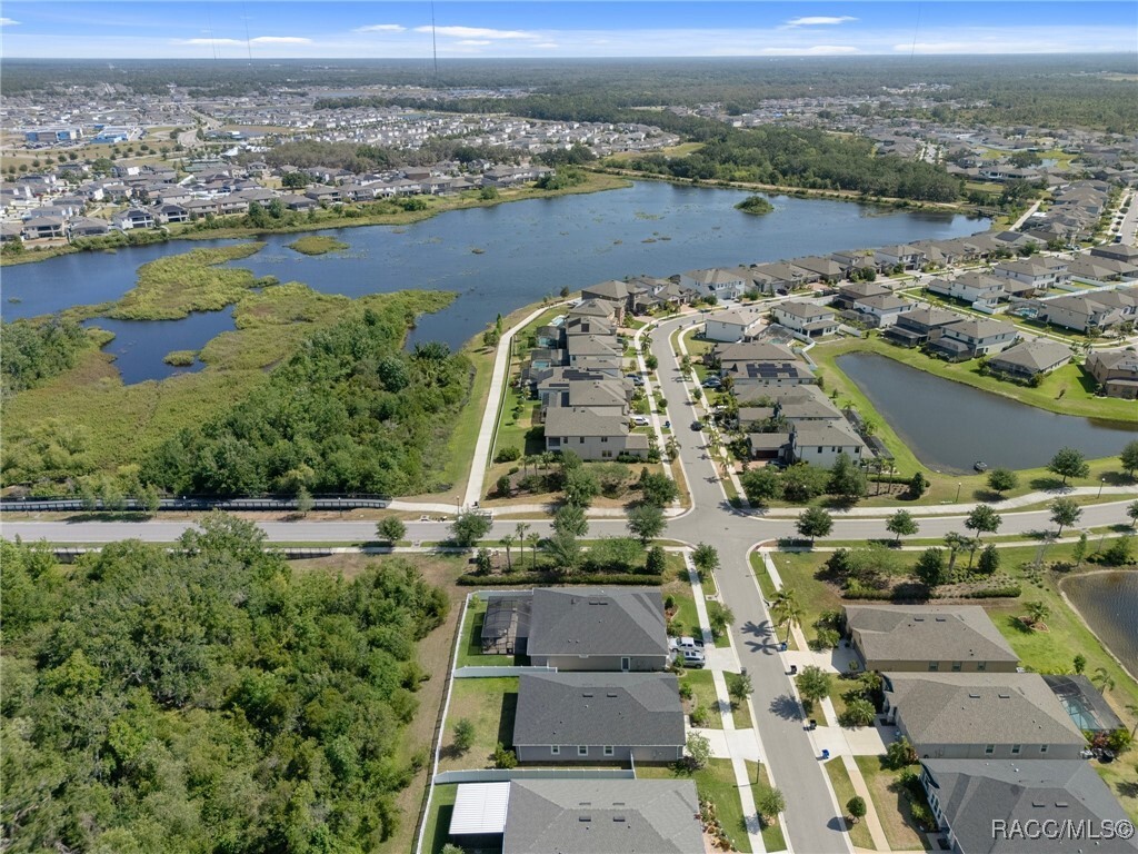 Property Photo: 12905 Satin Lily Drive FL 33579