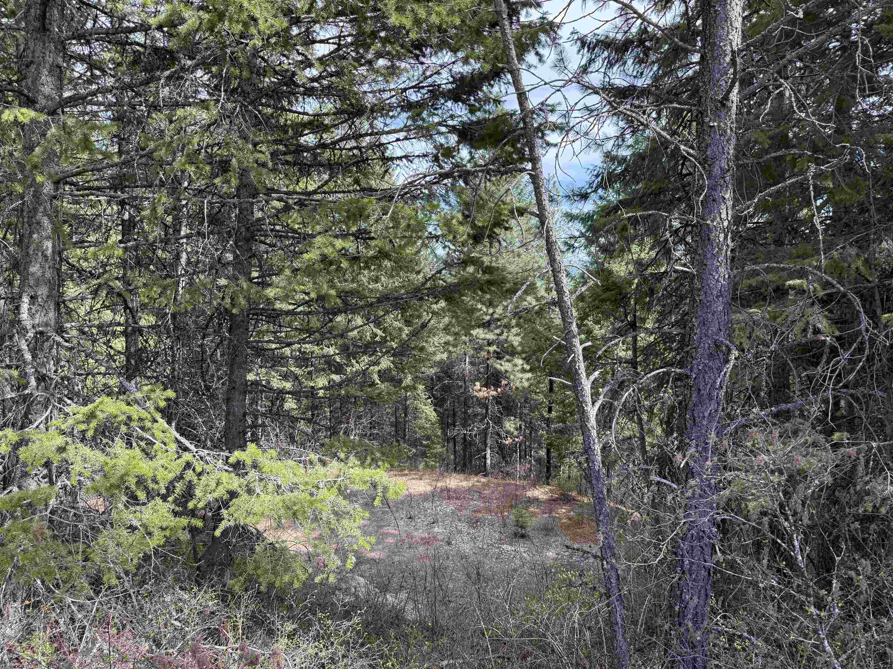 Property Photo: Nna Buck Creek Rd WA 99148