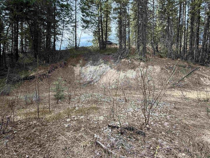 Property Photo:  Nna Buck Creek Rd  WA 99148 