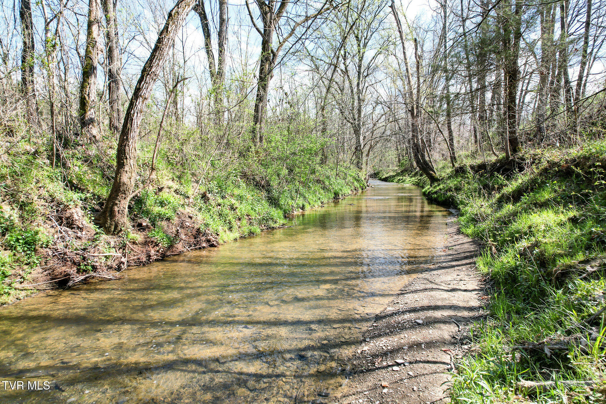 Property Photo: 1620 Delta Valley Rd TN 37743