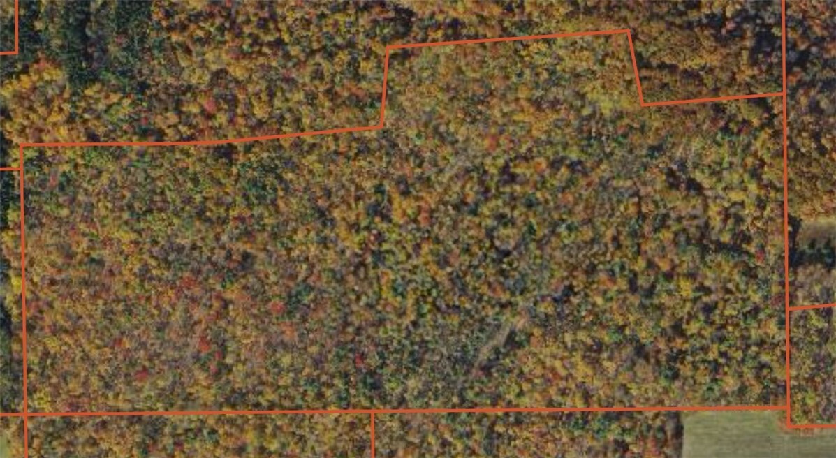 Property Photo: 556 North Road NY 13904
