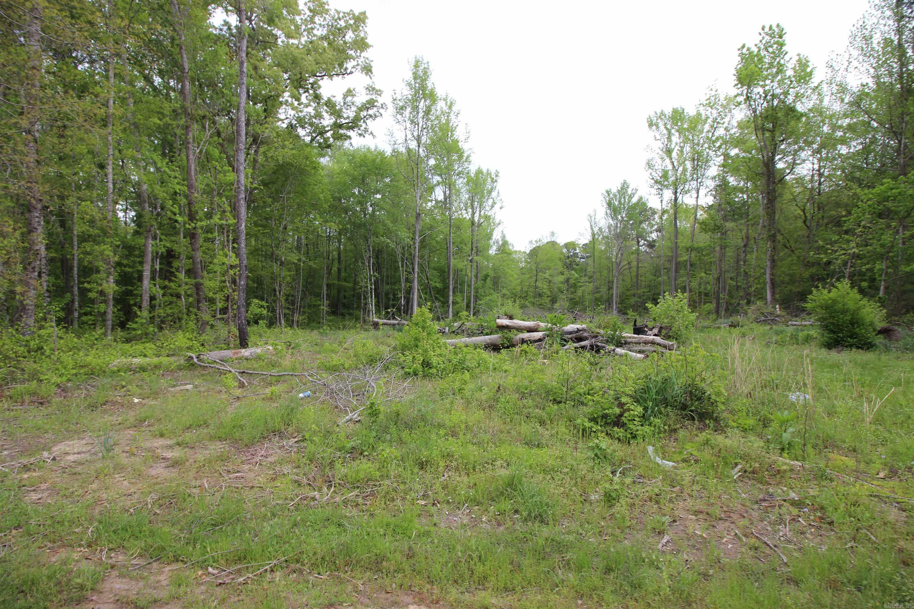 Property Photo: West Sardis Road AR 72011