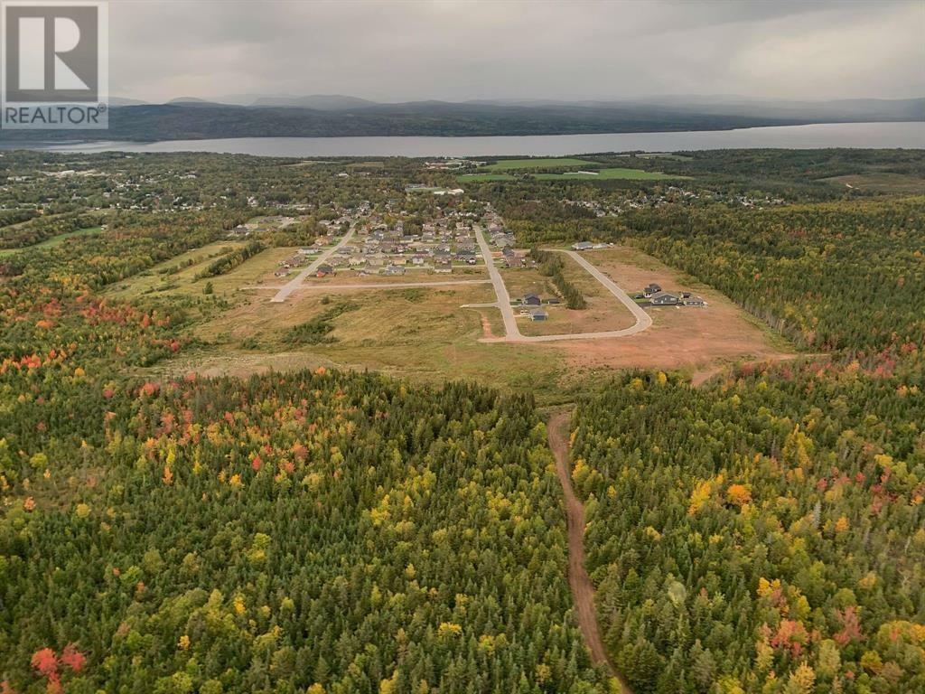 Property Photo:  41 Harvey Wight Crescent  NL A0L 1K0 