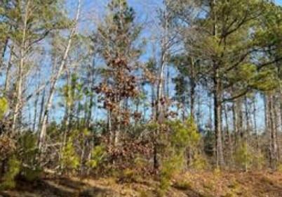 Property Photo: --- Steadman Road GA 30176