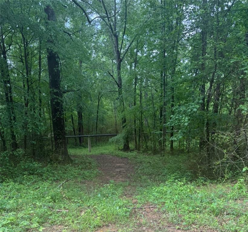 Property Photo: 0 Collier Street GA 30014
