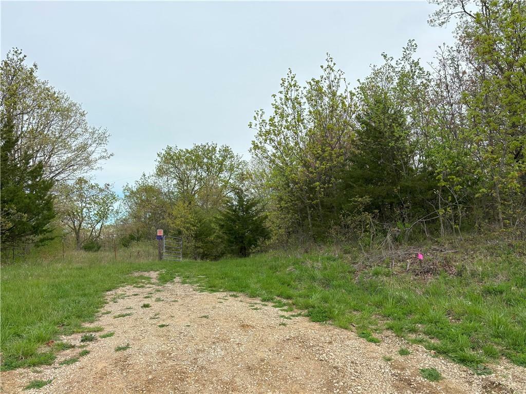 Property Photo: Desoto Avenue MO 64661