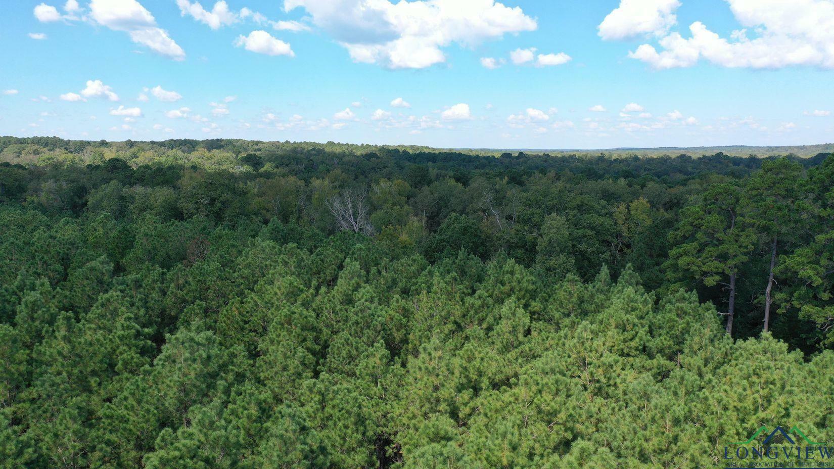 Property Photo: 0002 County Road 1926 Tract 2 TX 75563