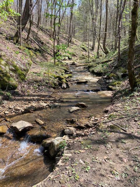 Property Photo: 3911 Middlefork Road KY 40874