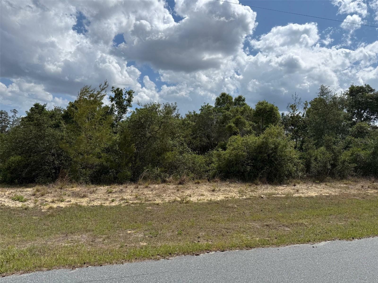 Property Photo: Tbd SW 178 Street FL 34473