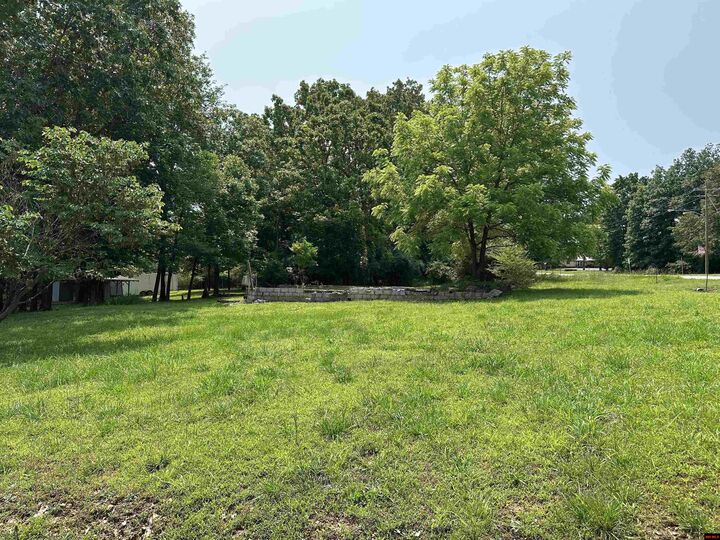 Property Photo:  320 Hazelwood Drive  AR 72630 