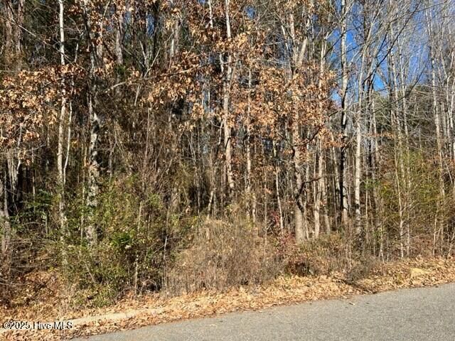 Tbd Parker Street  Ahoskie NC 27910 photo