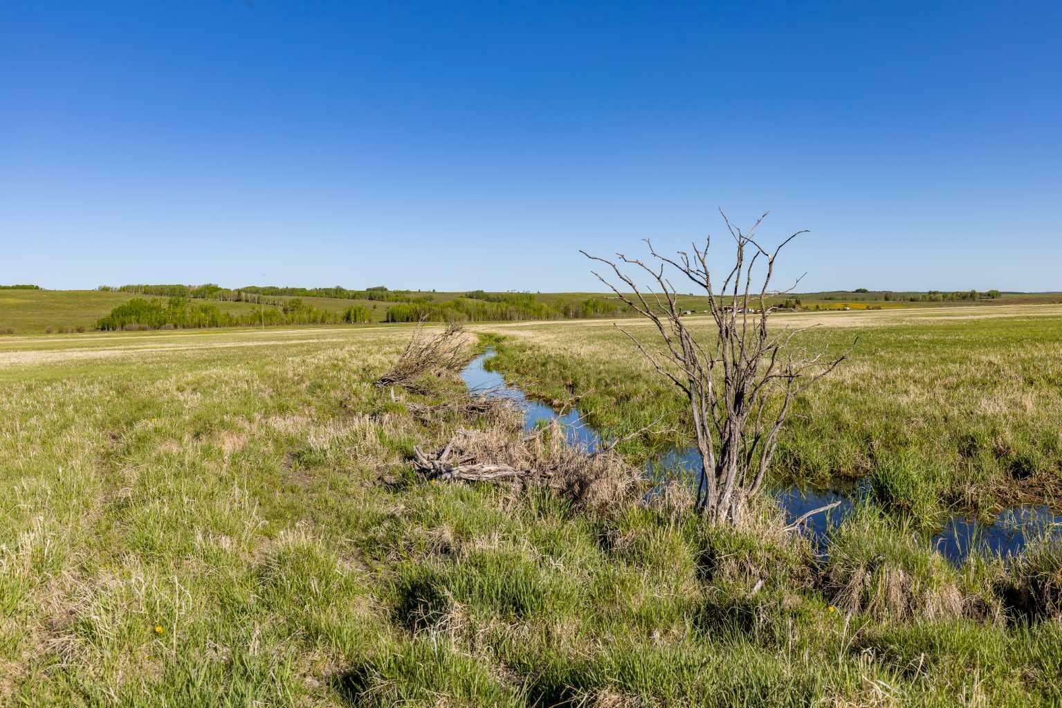 Property Photo:  325 Acres Horse Creek Road  AB T4C 2X2 
