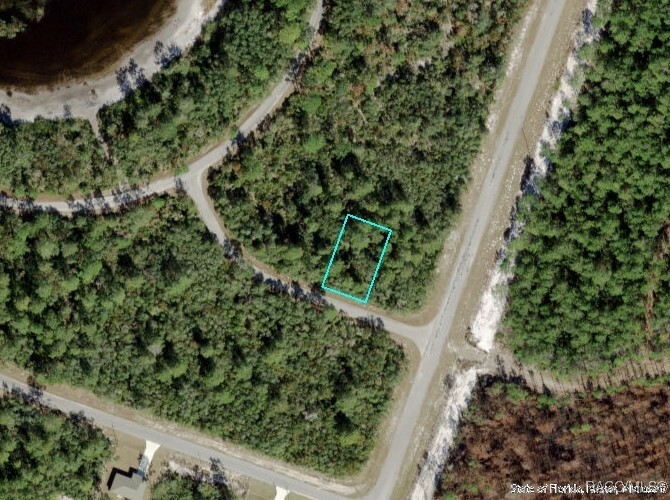 Property Photo:  Tbd Fisher Loop Run  FL 32179 