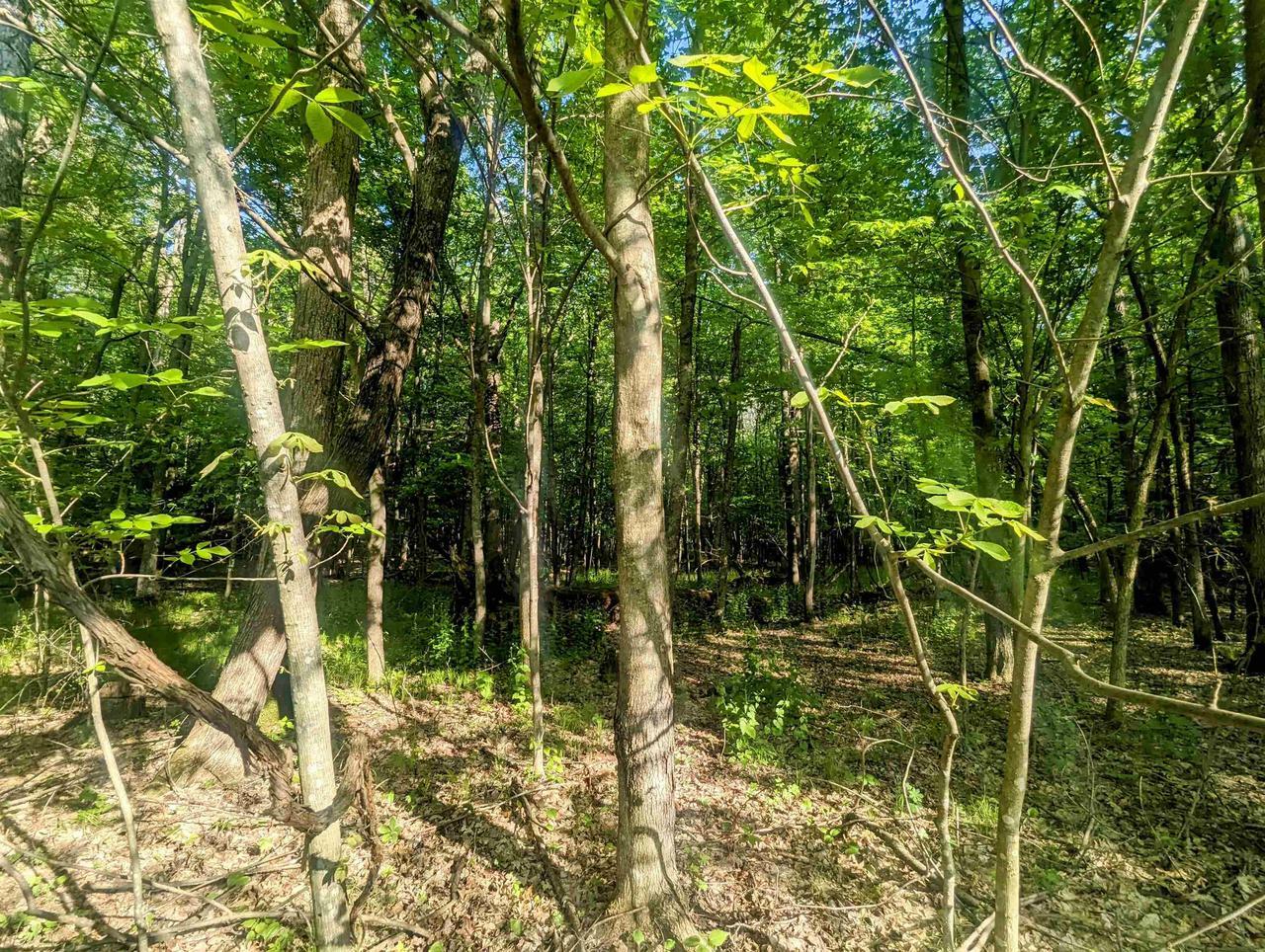 Property Photo: 0 South Badger Lane WI 54613