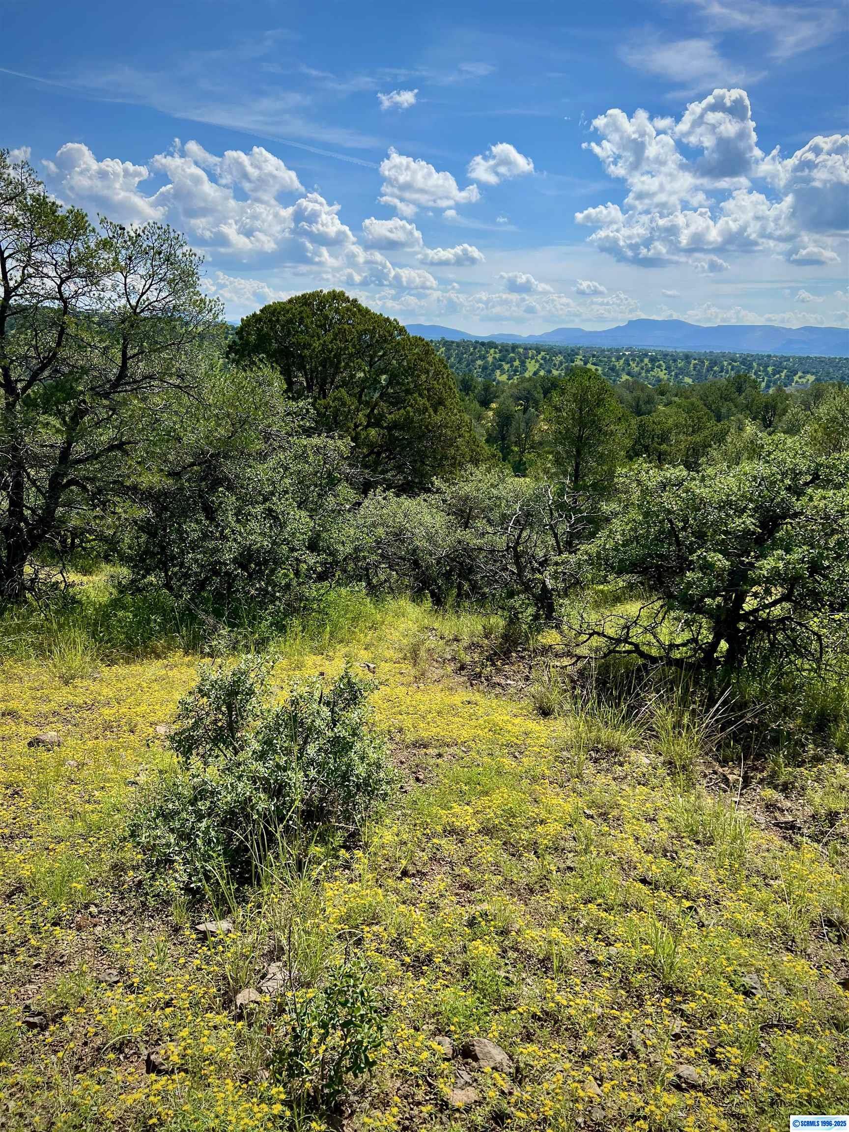 Property Photo: 2xx Xyz Ranch Road NM 88061