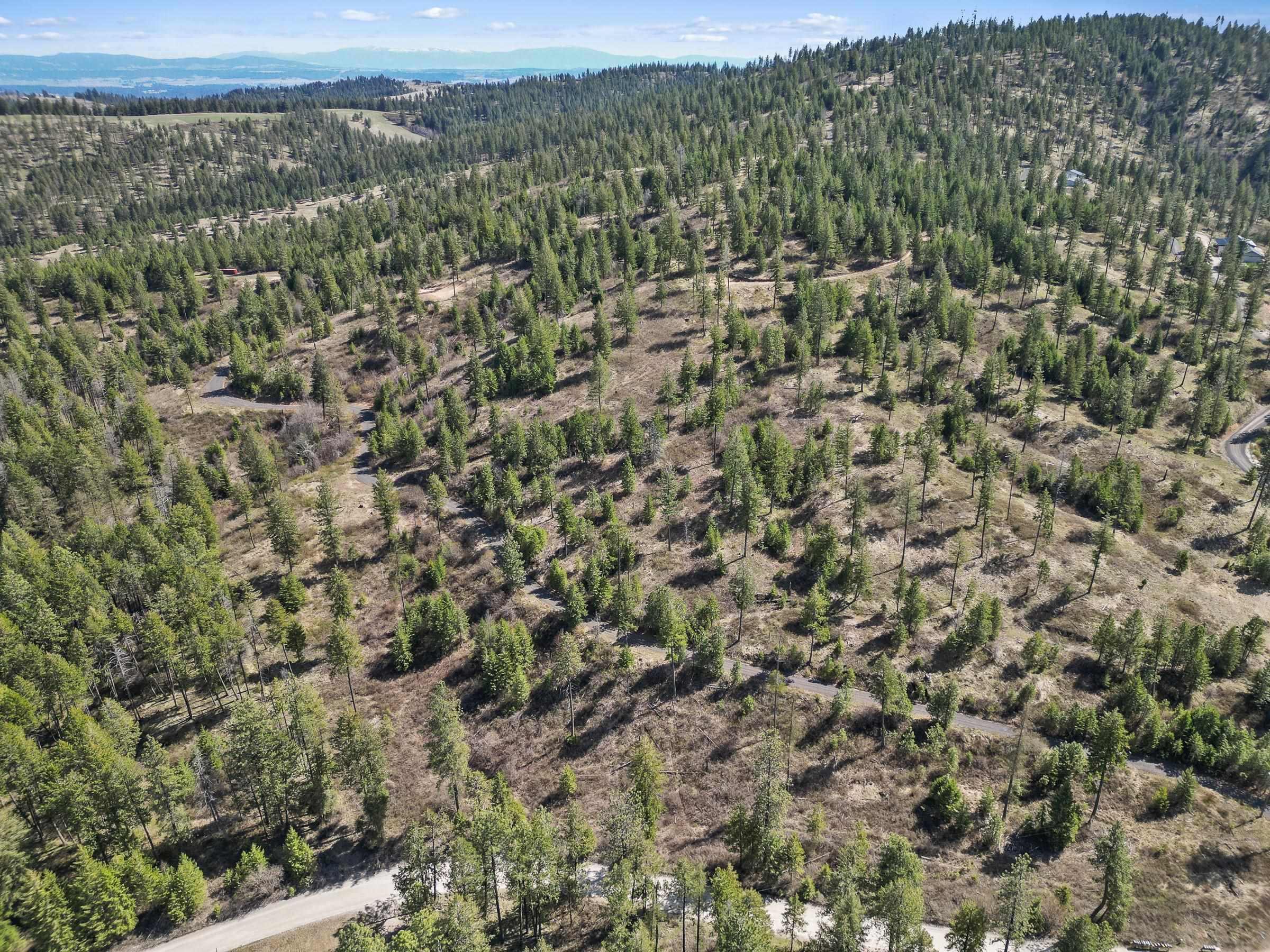 Property Photo:  Nka N Moose Drool Ln Lot C  WA 99208 