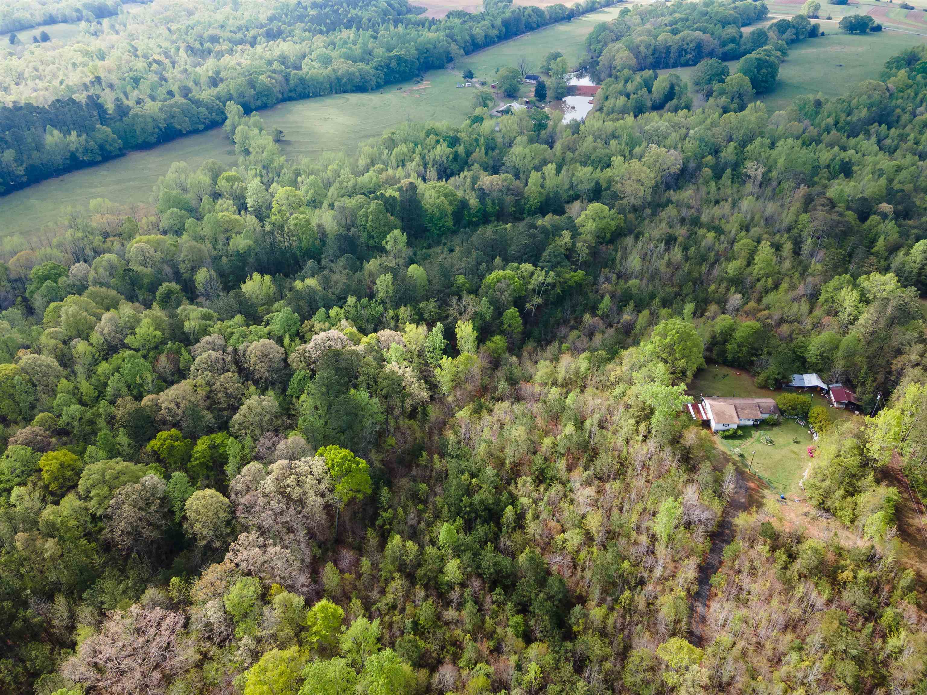 Property Photo: 250 Ridgeway Road SC 29388