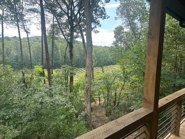 Property Photo:  167 Meadow View Ct  GA 30536 