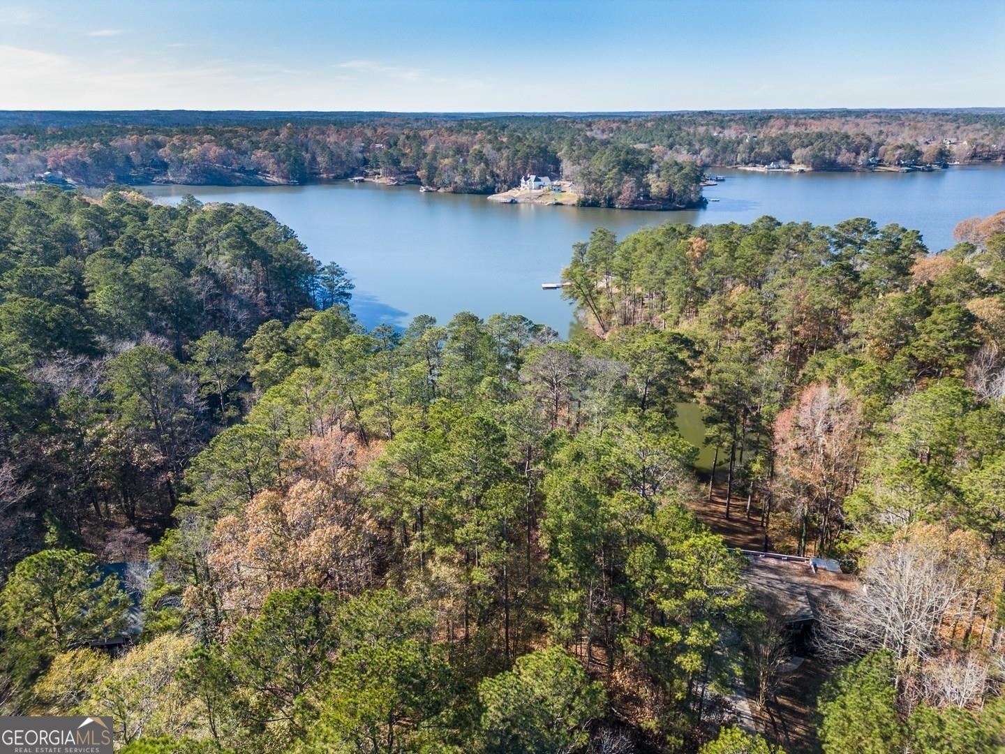 Property Photo: 0 Goldfinch Drive Lot 115 GA 31064