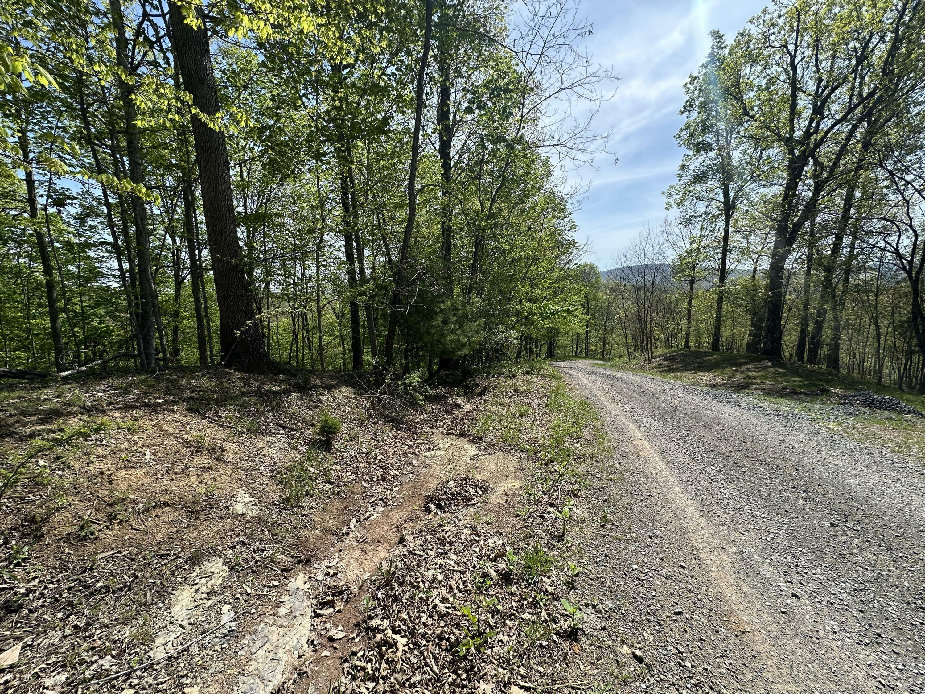 Property Photo: Highlander Trl WV 24901
