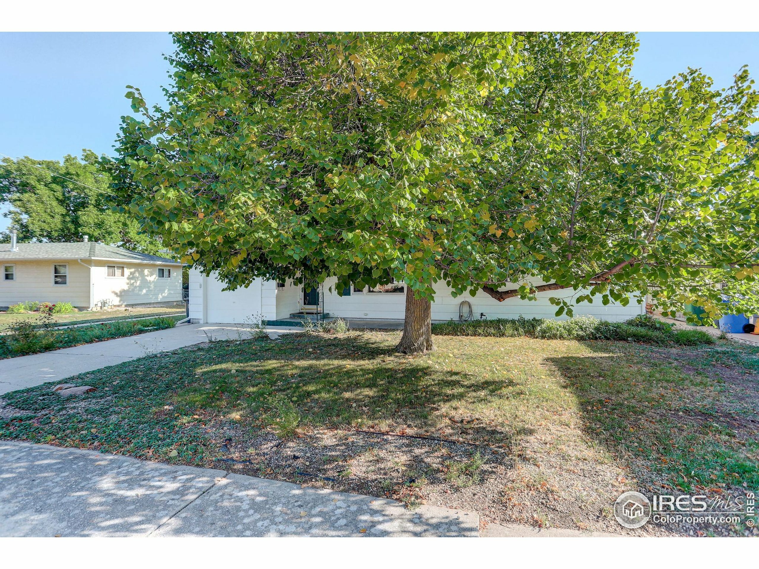 Property Photo: 2524 Spruce Dr CO 80538
