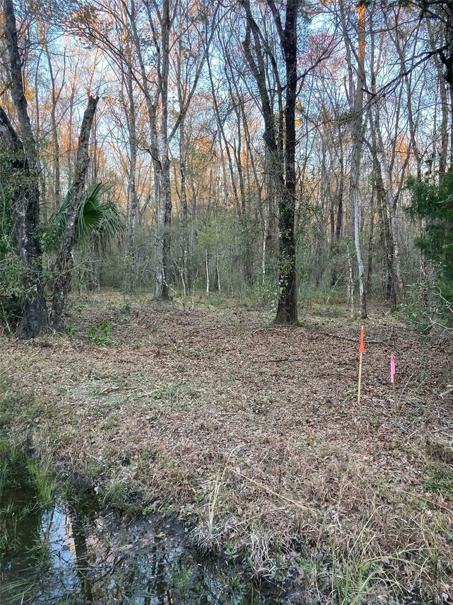 Property Photo: 10450 Weatherby Avenue FL 32145