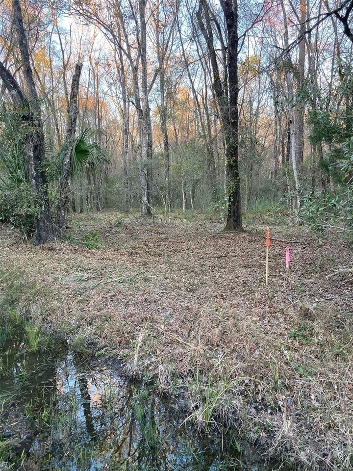 Property Photo: 10450 Weatherby Avenue FL 32145