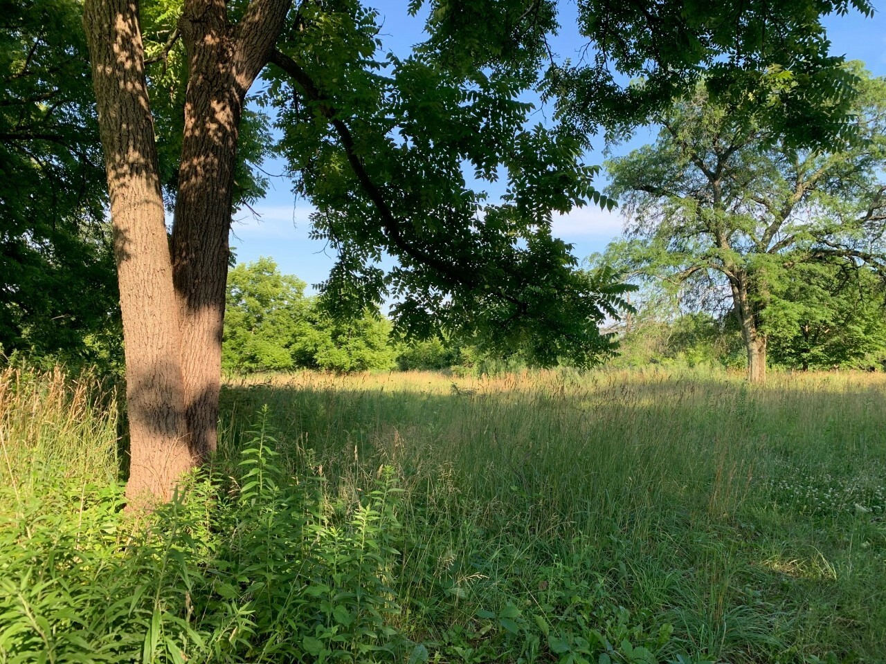 Property Photo: 3523 Long Grove Road IL 60047