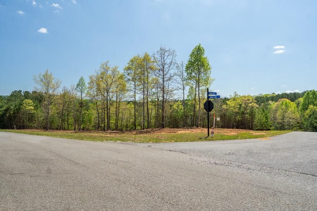 Property Photo: Lot 41 Sandy Lake Lane GA 30512