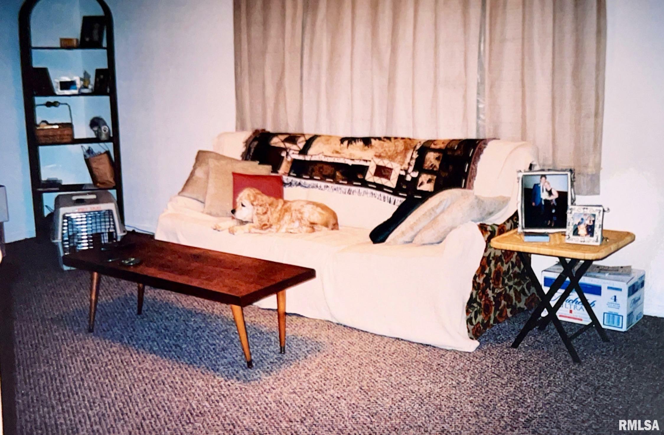 Property Photo:  355 Chestnut Street  IL 62905 