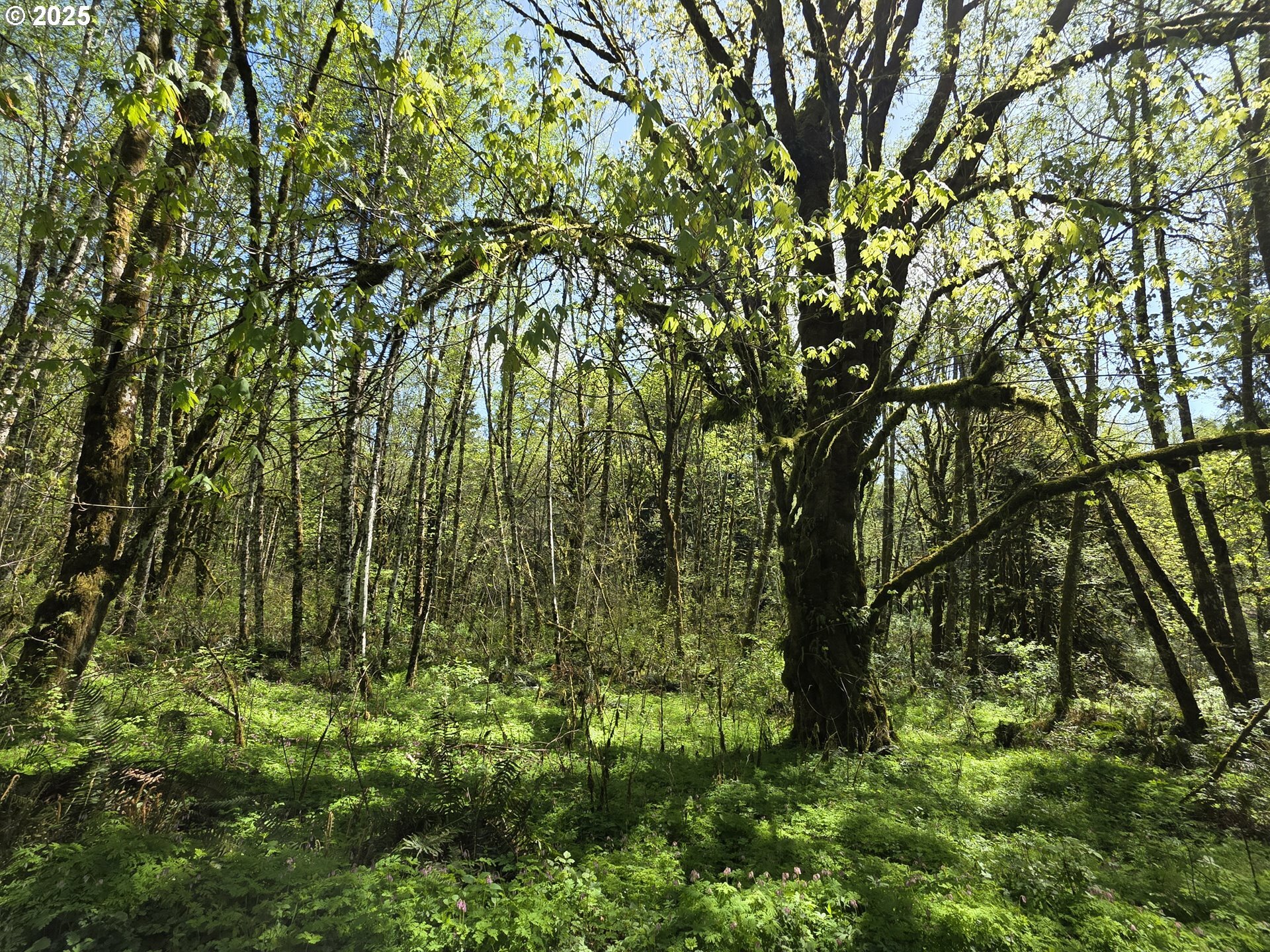 Property Photo: Mill Falls Ln WA 98632