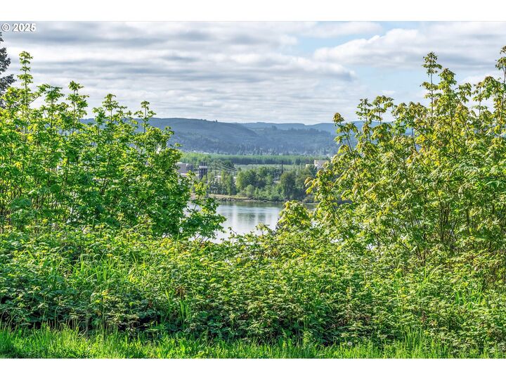 Property Photo:  Mill Falls Ln  WA 98632 