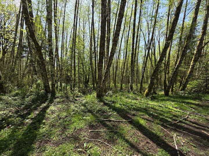 Property Photo:  Mill Falls Ln  WA 98632 