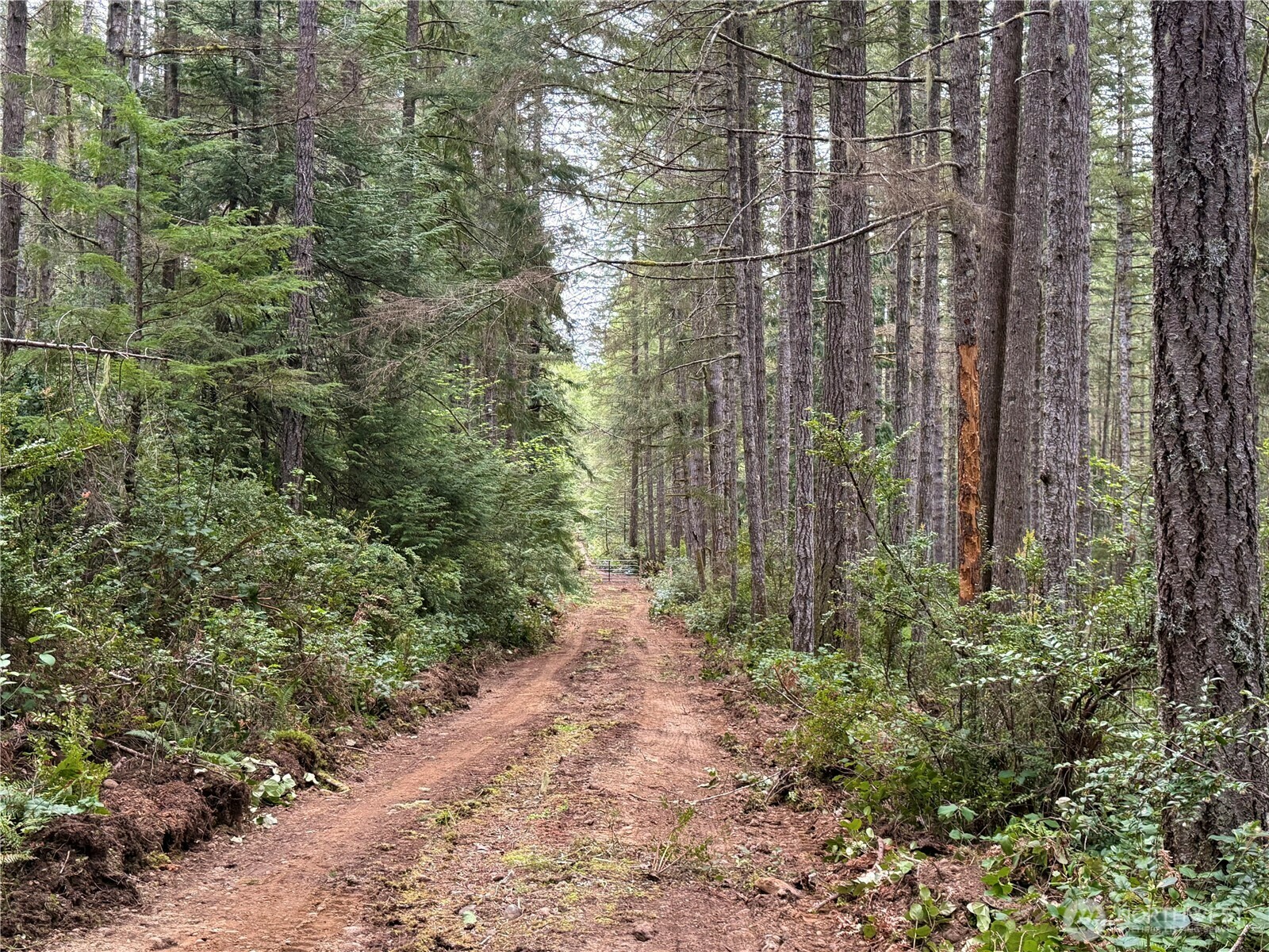 Property Photo: 1200 NE Aquila Ridge Road WA 98588