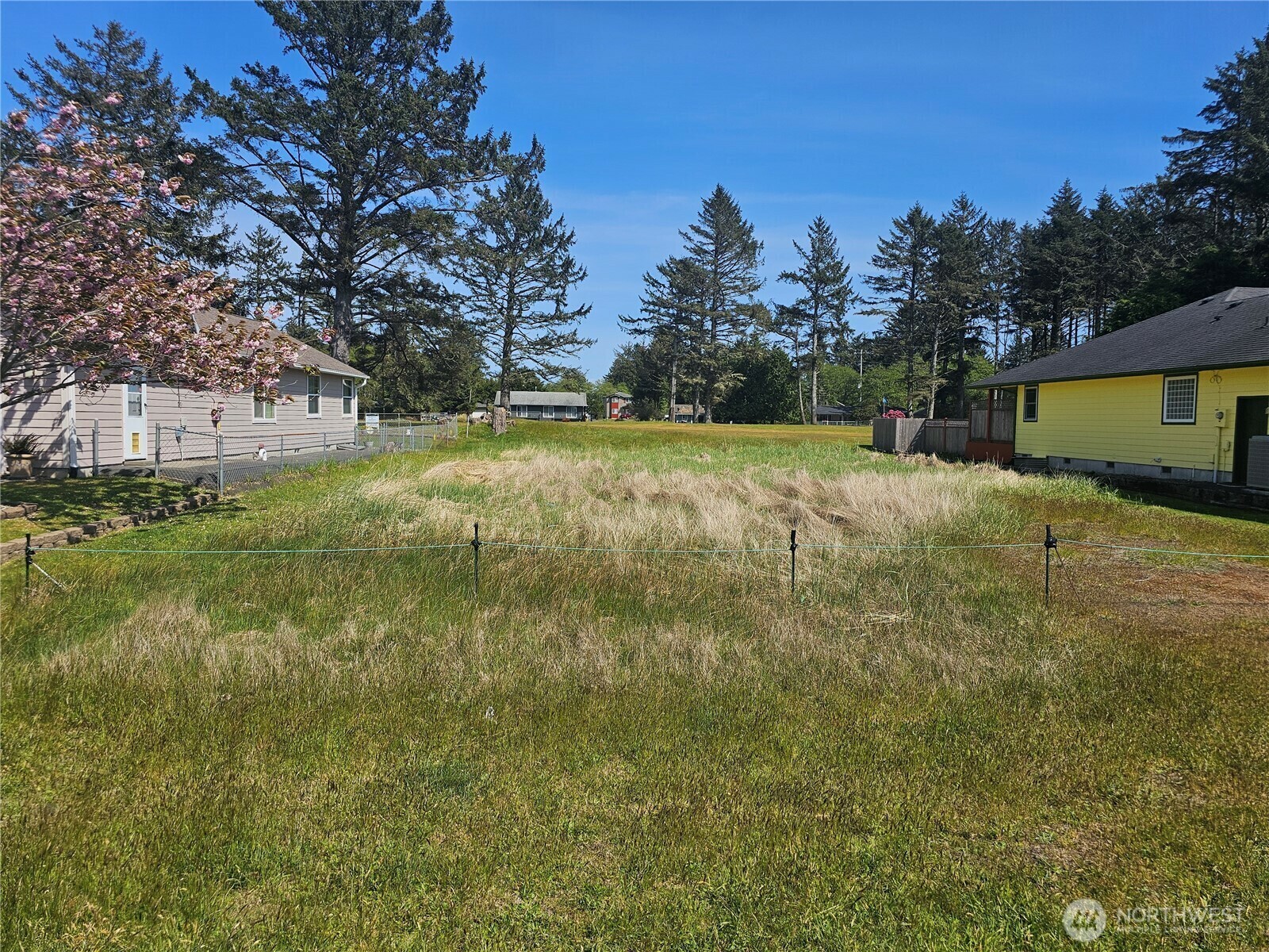 Property Photo: 262 Octopus Avenue NE WA 98569