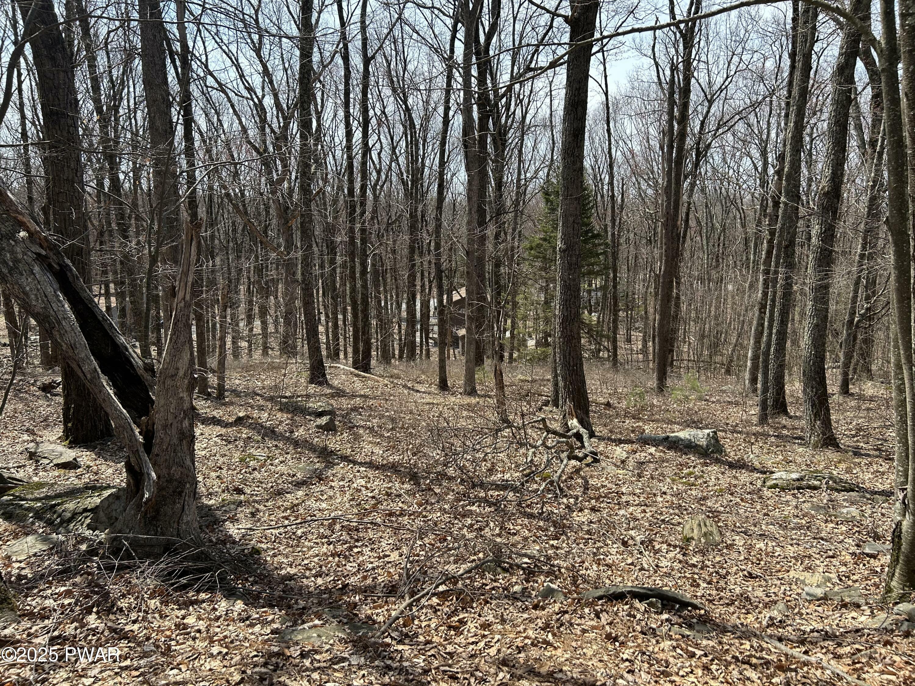 Property Photo: 141 Gaskin Drive PA 18428