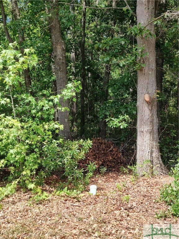 Property Photo: 0 Fayette Street Lot 4 GA 31405