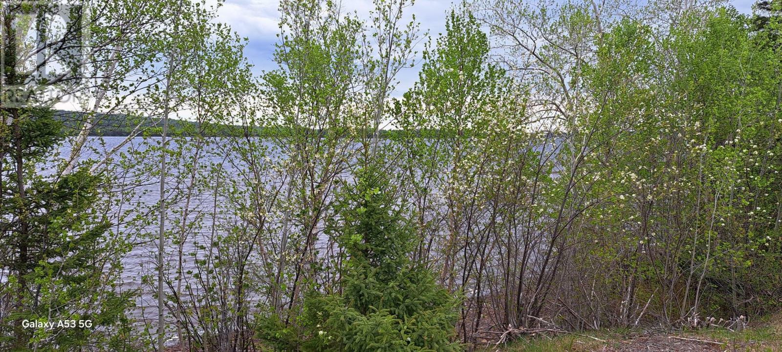 Property Photo:  43 Sandy Point Road  NL A0G 3M0 