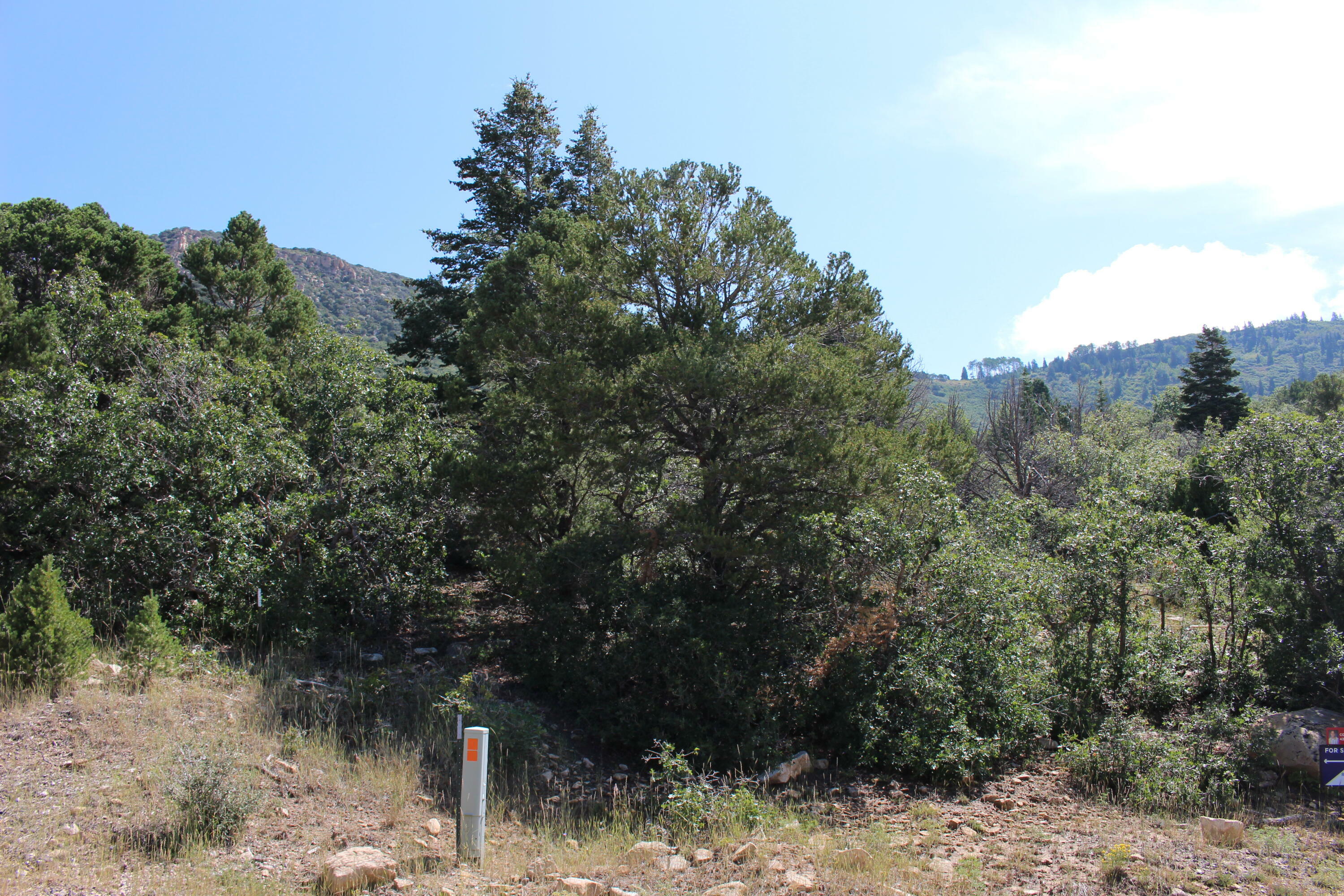 Property Photo: 2289 S High Mountain View Dr UT 84720