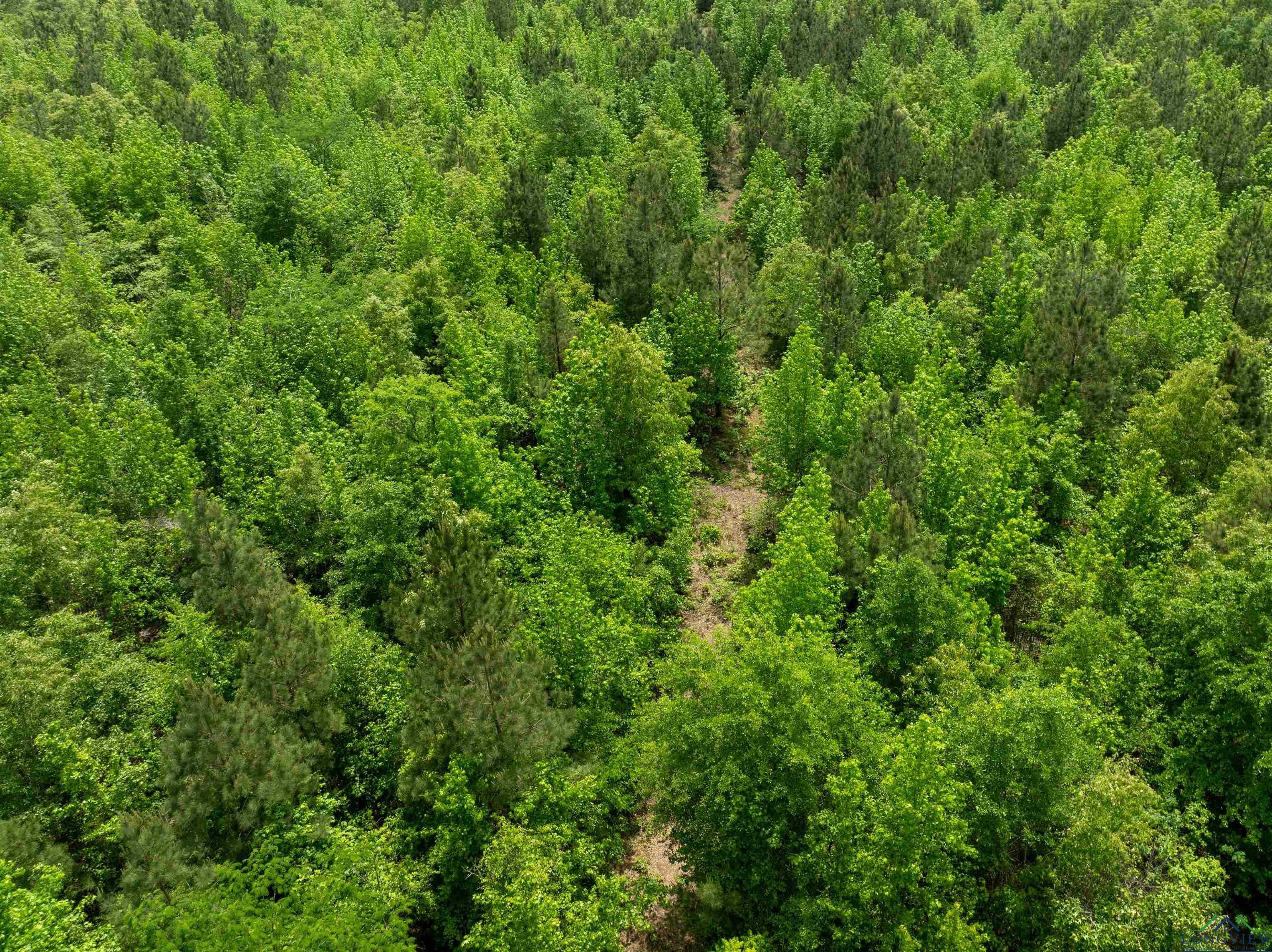 Property Photo: 0002 Cr 1349 TX 75563