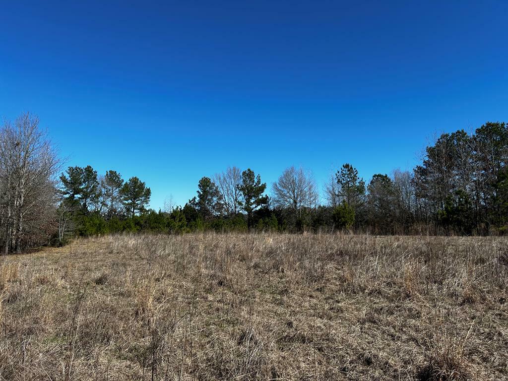Property Photo:  R14353 Cr 167  TX 75669 