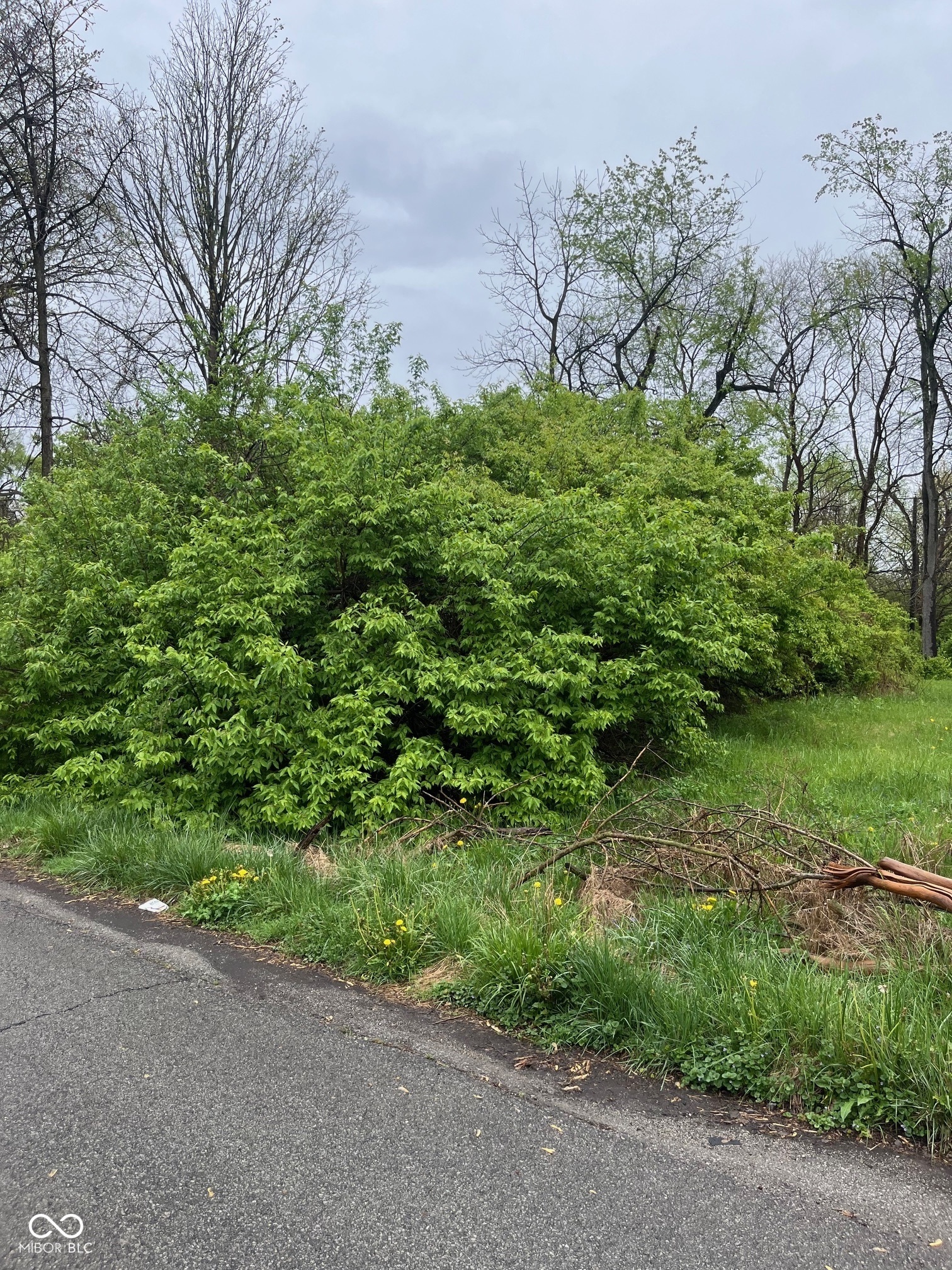 Property Photo: 0 N Irwin Avenue IN 46226